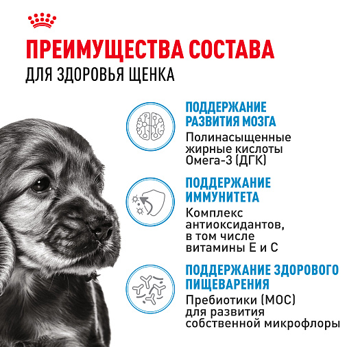 Royal Canin Корм для щенков мелких пород (Mini Puppy), кусочки в соусе