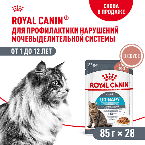 Royal Canin Корм для профилактики нарушения мочевыделительной системы у взрослых кошек (Urinary Care), мелкие кусочки в соусе