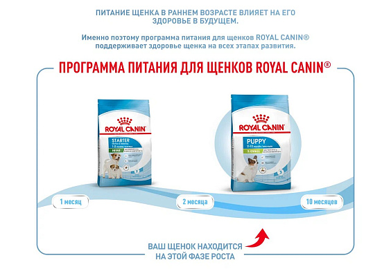 Royal Canin X-Small Puppy Корм сухой для щенков очень мелких размеров до 10 месяцев