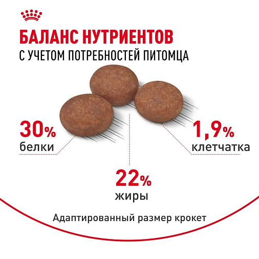 Royal Canin Mini Digestive Care Корм сухой для взрослых собак мелких размеров с чувствительным пищеварением