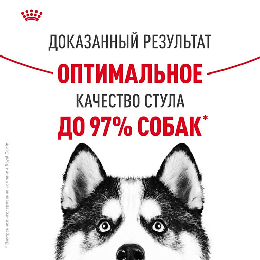 Royal Canin Maxi Digestive Care Корм сухой для взрослых собак больших размеров с чувствительным пищеварением