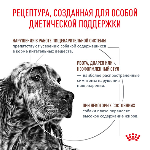 Royal Canin GASTROINTESTINAL LOW FAT (ГАСТРОИНТЕСТИНАЛ ЛОУ ФЭТ) Корм сухой для взрослых собак при нарушениях пищеварения