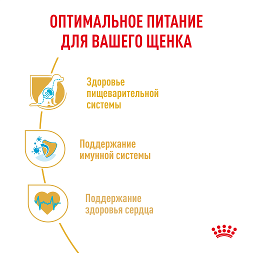 Royal Canin Cavalier King Charles Puppy Корм сухой полнорационный для собак - Специально для щенков породы Кавалер кинг чарльз спаниель в возрасте до 10 месяцев