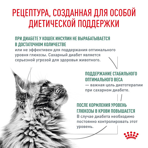 Royal Canin Diabetic (Диабетик) Корм сухой для взрослых кошек при сахарном диабете