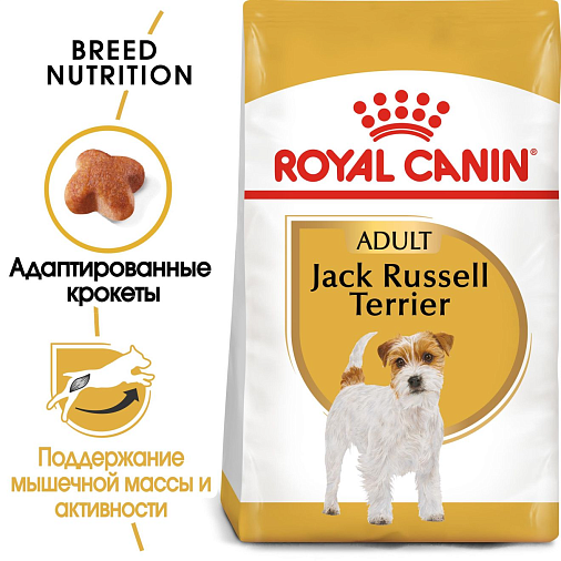 Royal Canin Jack Russell Adult Корм сухой полнорационный для собак - Cпециально для взрослых и стареющих собак породы Джек Рассел терьер в возрасте 10 месяцев и старше