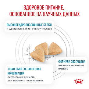 Royal Canin HYPOALLERGENIC (ГИПОАЛЛЕРДЖЕНИК) Корм сухой для взрослых кошек при пищевой аллергии