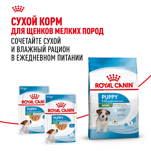Royal Canin Корм для щенков мелких пород (Mini Puppy), кусочки в соусе