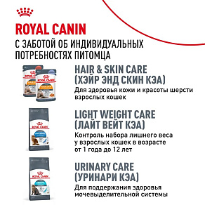 Royal Canin Siamese Adult Корм сухой сбалансированный для взрослых сиамских кошек от 12 месяцев