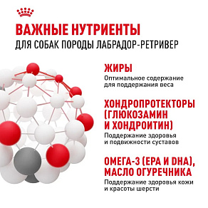 Royal Canin Labrador Retriever Adult Корм сухой для взрослых собак породы Лабрадор Ретривер от 15 месяцев