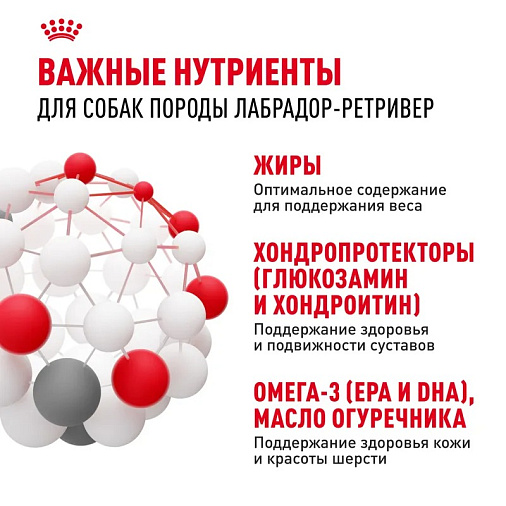 Royal Canin Labrador Retriever Adult Корм сухой для взрослых собак породы Лабрадор Ретривер от 15 месяцев