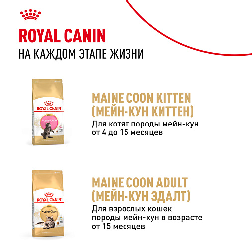 Royal Canin MAINE COON KITTEN Корм консервированный полнорационный для кошек - Специально для котят породы Мэйн Кун в возрасте до 15 месяцев (мелкие кусочки в соусе)