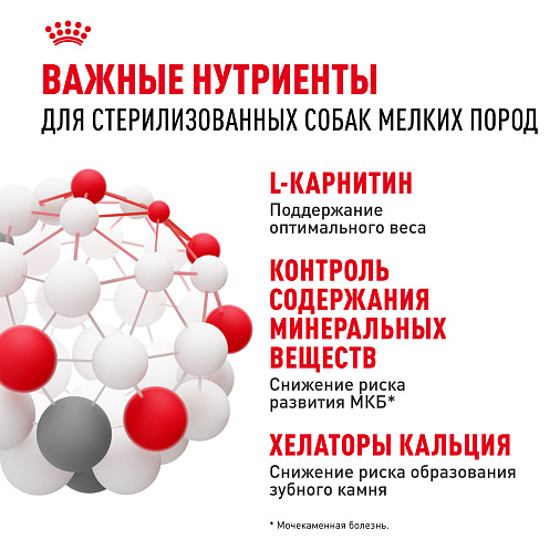 Royal Canin Mini Sterilised Корм сухой для взрослых стерилизованных собак мелких размеров, склонных к набору веса