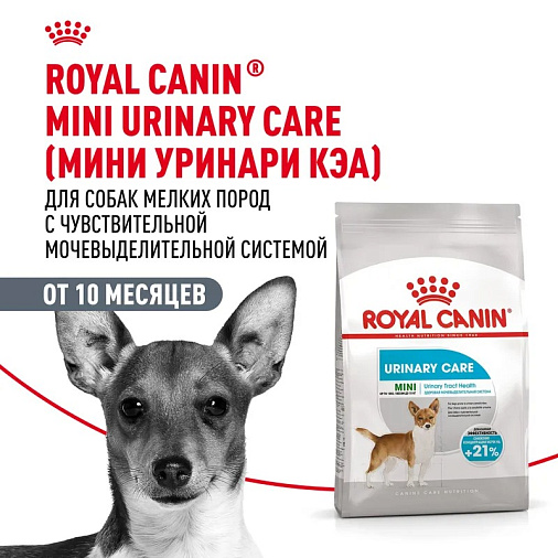 Royal Canin Mini Urinary Care Корм сухой для собак мелких размеров с чувствительной мочевыделительной системой