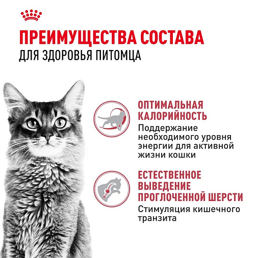 Royal Canin Fit 32 Корм сухой сбалансированный для взрослых умеренно активных кошек от 1 года