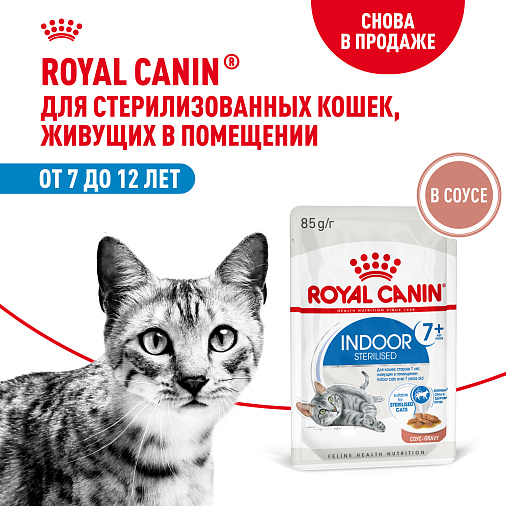 Royal Canin INDOOR STERILISED 7+ Корм консервированный полнорационный для кошек (в возрасте от 7 до 12 лет), живущих в помещении (мелкие кусочки в соусе)