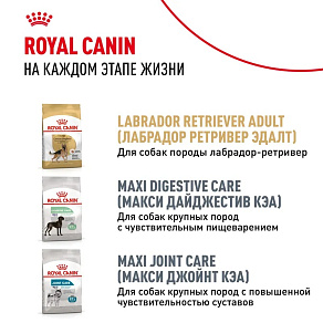 Royal Canin Labrador Retriever Puppy Корм сухой для щенков породы Лабрадор Ретривер до 15 месяцев