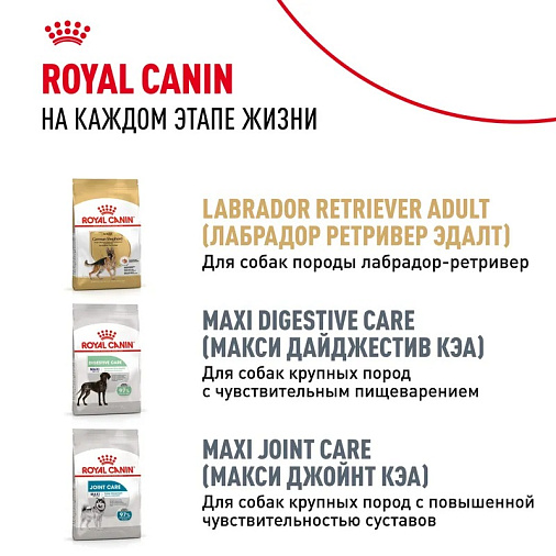 Royal Canin Labrador Retriever Puppy Корм сухой для щенков породы Лабрадор Ретривер до 15 месяцев