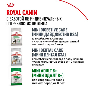 Royal Canin Mini Adult Корм сухой для взрослых собак мелких размеров от 10 месяцев