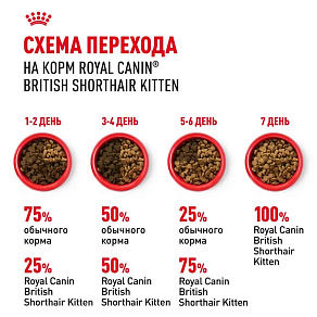 Royal Canin British Shorthair Kitten Корм сухой сбалансированный для британских короткошерстных котят