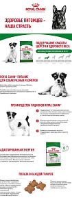 Royal Canin Mini Adult Корм сухой для взрослых собак мелких размеров от 10 месяцев