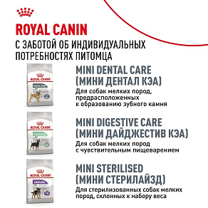 Royal Canin Mini Urinary Care Корм сухой для собак мелких размеров с чувствительной мочевыделительной системой
