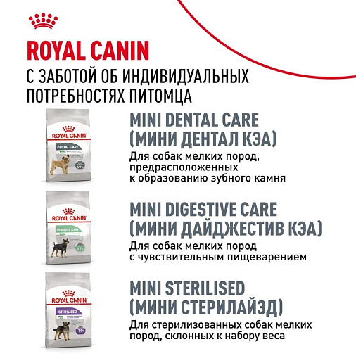 Royal Canin Mini Urinary Care Корм сухой для собак мелких размеров с чувствительной мочевыделительной системой