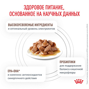 Royal Canin GASTROINTESTINAL (ГАСТРОИНТЕСТИНАЛ) Корм влажный для взрослых кошек при расстройствах пищеварения