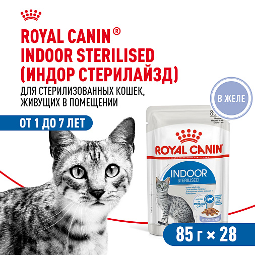 Royal Canin Indoor Sterilised (в желе) Корм консервированный полнорационный для взрослых кошек (в возрасте от 1 года до 7 лет), постоянно живущих в помещении