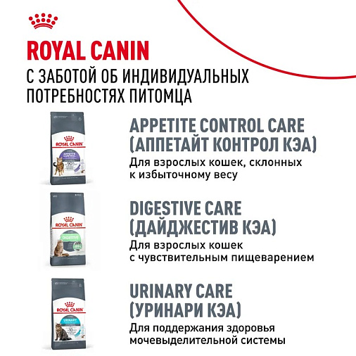 Royal Canin Dental Care Корм сухой полнорационный сбалансированный для взрослых кошек