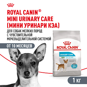 Royal Canin Mini Urinary Care Корм сухой для собак мелких размеров с чувствительной мочевыделительной системой