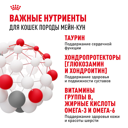 Royal Canin Maine Coon Adult Корм консервированный для взрослых кошек породы Мэйн Кун, соус