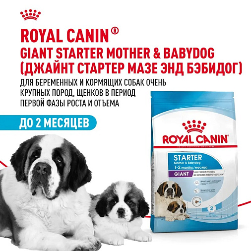 Royal Canin Giant Starter Корм сухой для щенков очень крупных размеров до 2 месяцев, беременных и кормящих сук
