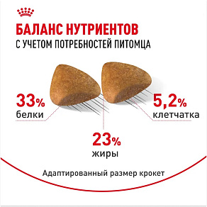 Royal Canin Sphynx Adult Корм сухой сбалансированный для взрослых кошек породы Сфинкс от 12 месяцев
