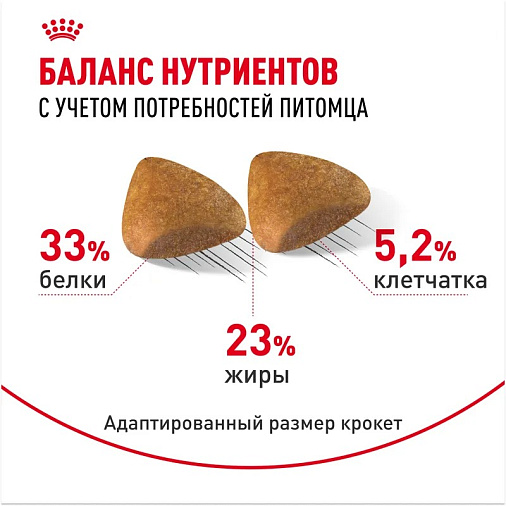 Royal Canin Sphynx Adult Корм сухой сбалансированный для взрослых кошек породы Сфинкс от 12 месяцев