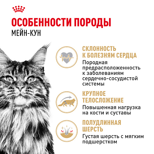 Royal Canin Maine Coon Adult Корм консервированный для взрослых кошек породы Мэйн Кун, соус