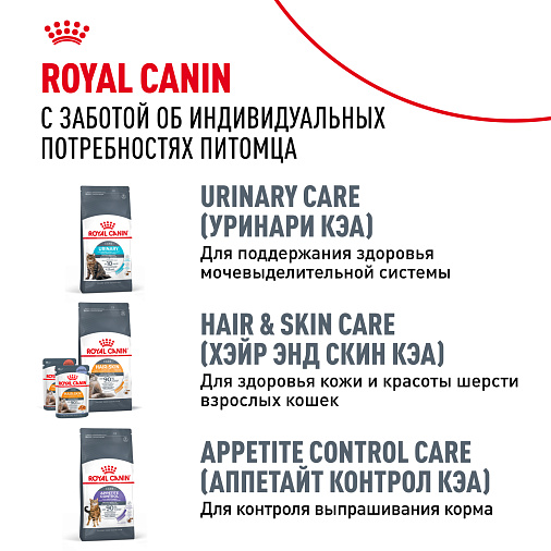 Royal Canin BENGAL ADULT Корм сухой полнорационный сбалансированный для кошек – Специально для взрослых бенгальских кошек старше 12 месяцев