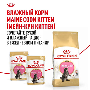 Royal Canin Maine Coon Kitten Корм сухой сбалансированный для котят породы Мэйн Кун