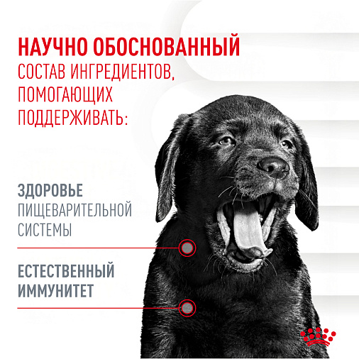 Royal Canin Immunity&Digestion Chews лакомство для щенков, дополнительное питание для иммунитета и пищеварения