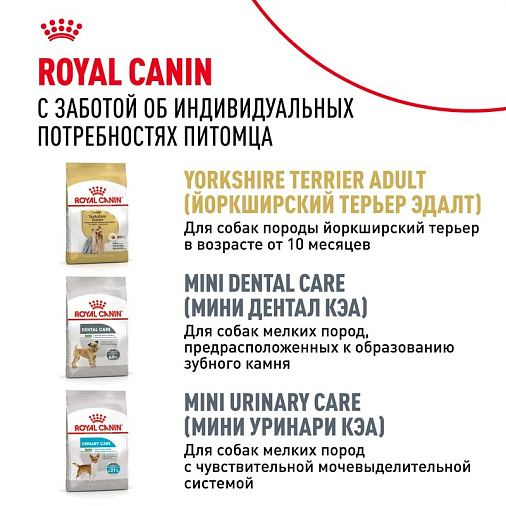 Royal Canin Yorkshire Terrier Adult 8+ Корм сухой для стареющих собак породы Йоркширский Терьер от 8 лет