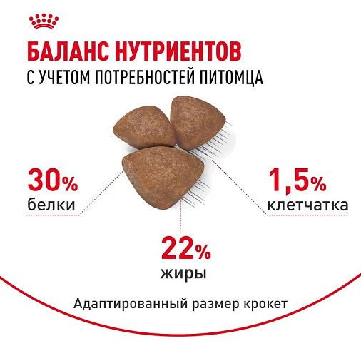 Royal Canin Mini Starter Корм сухой для щенков мелких размеров до 2-х месяцев, беременных и кормящих сук