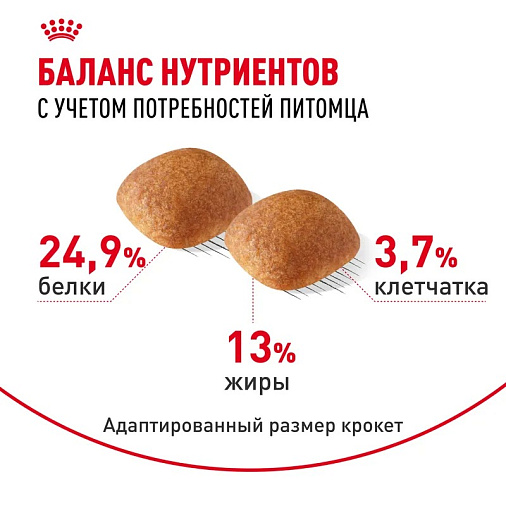 Royal Canin Golden Retriever Adult Корм сухой для взрослых собак породы Голден Ретривер от 15 месяцев