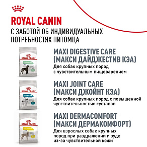Royal Canin Golden Retriever Adult Корм сухой для взрослых собак породы Голден Ретривер от 15 месяцев