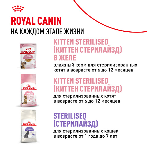 Royal Canin Kitten Gravy Корм консервированный полнорационный для кошек - Специально для котят в период второй фазы роста в возрасте до 12 месяцев, кусочки в соусе