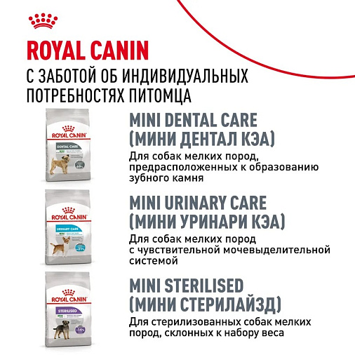 Royal Canin Mini Digestive Care Корм сухой для взрослых собак мелких размеров с чувствительным пищеварением