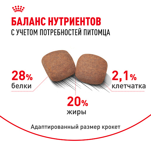 Royal Canin Giant Adult Корм сухой для взрослых собак очень крупных размеров от 18 месяцев