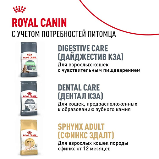 Royal Canin Sphynx Kitten Корм сухой сбалансированный для котят породы Сфинкс до 12 месяцев