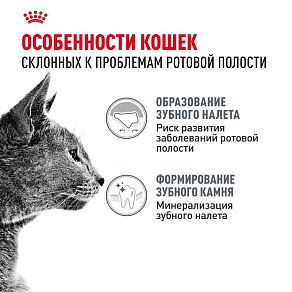 Royal Canin Dental Care Корм сухой полнорационный сбалансированный для взрослых кошек