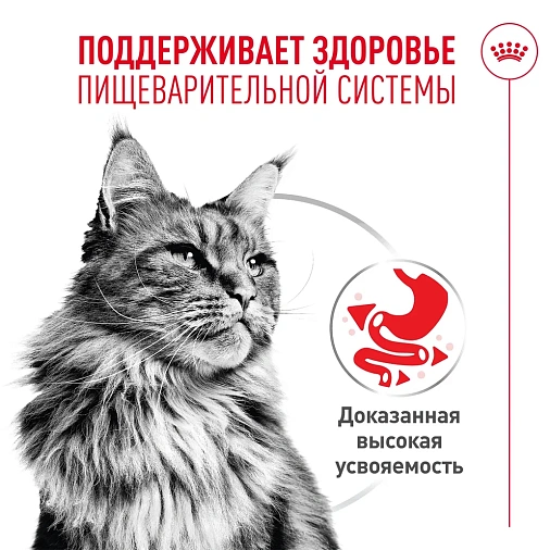 Royal Canin Digestive Care AirLift™ Корм консервированный полнорационный для взрослых кошек (мусс AirLift™)