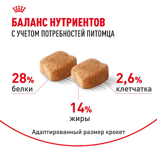 Royal Canin Dachshund Adult Корм сухой для взрослых собак породы Такса от 10 месяцев