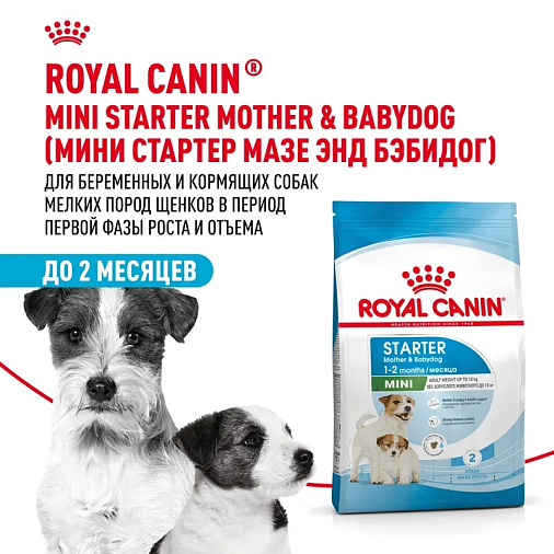 Royal Canin Mini Starter Корм сухой для щенков мелких размеров до 2-х месяцев, беременных и кормящих сук